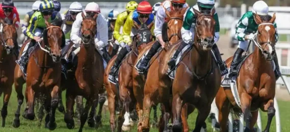 %d8%a3%d8%b4%d9%87%d8%b1-%d8%b3%d8%a8%d8%a7%d9%82%d8%a7%d8%aa-%d8%a7%d9%84%d8%ae%d9%8a%d9%84-%d9%81%d9%8a-%d8%a7%d9%84%d8%b9%d8%a7%d9%84%d9%85-%d8%a7%d9%84%d8%aa%d9%8a-%d8%aa%d8%ac%d8%b0%d8%a8-%d8%a7